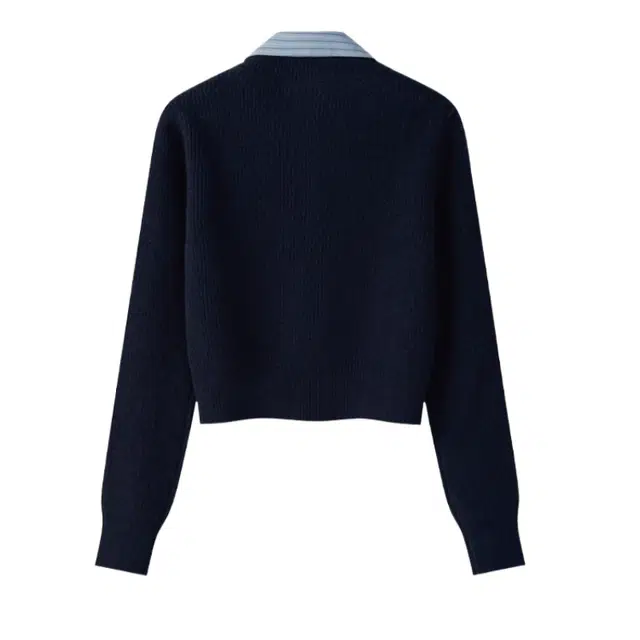 ARIADNAW STUDIO 2025