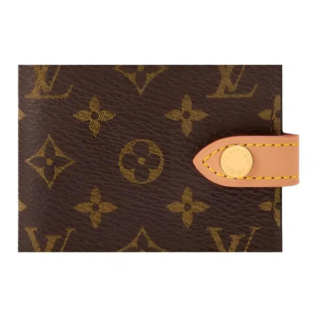 LOUIS VUITTON Monogram