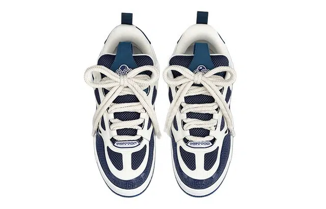LOUIS VUITTON Skate