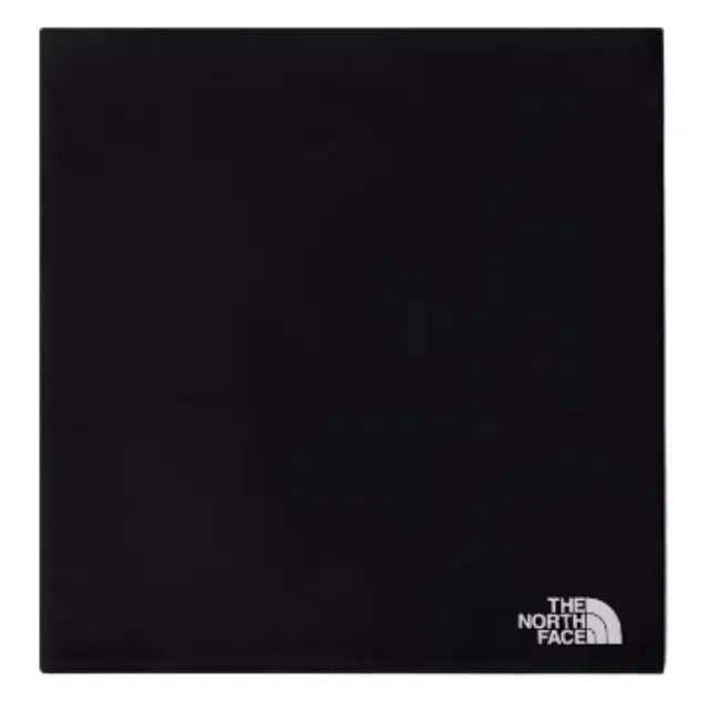 THE NORTH FACE logo