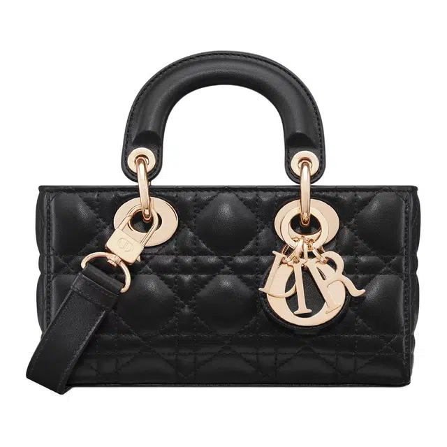 DIOR Lady D-Joy