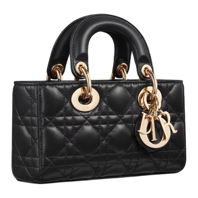DIOR Lady D-Joy