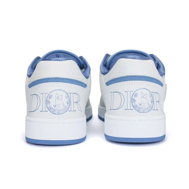 DIOR B27