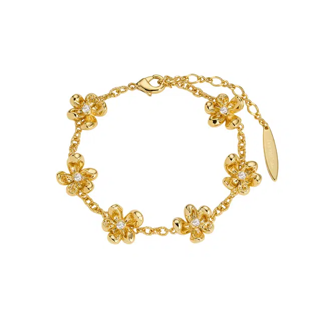 BOONEE ALUS 24k