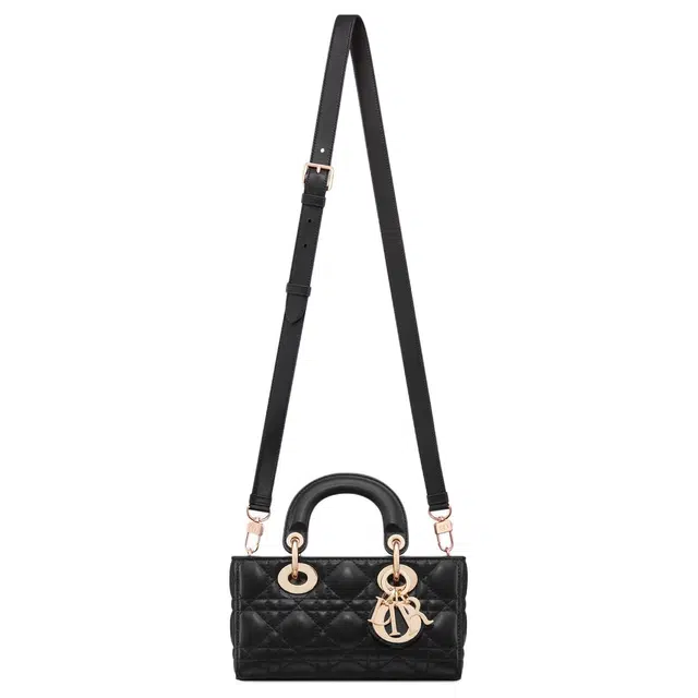DIOR Lady D-Joy