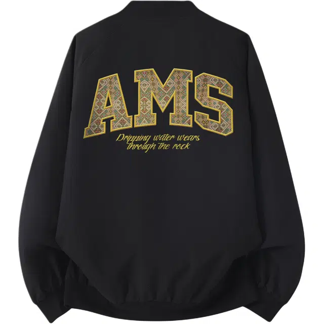 AIMISS Logo