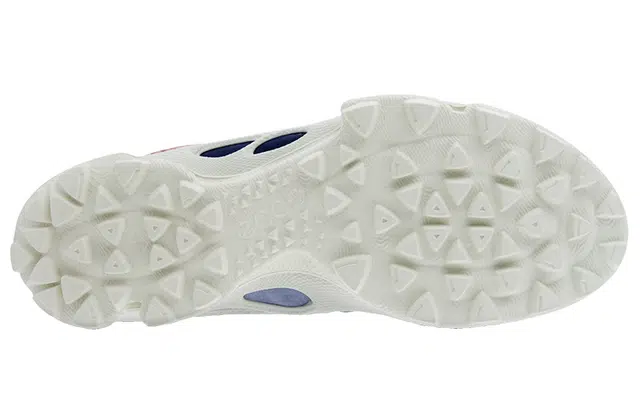 ecco Biom C Trail