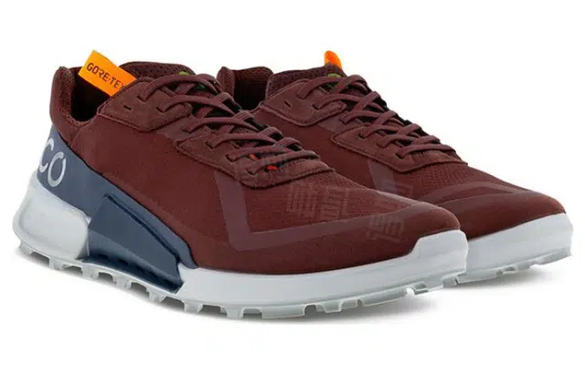 ecco 2.1