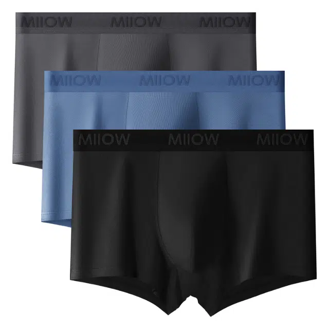 MIIOW 1