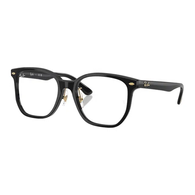 RayBan Logo