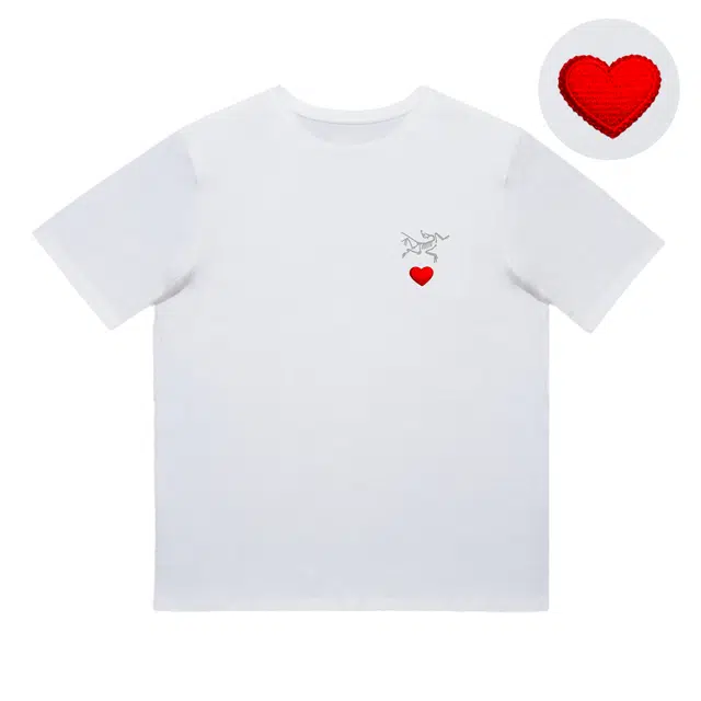 Arcteryx KRAGG logoT