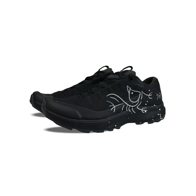 Arcteryx AERIOS FL GTX