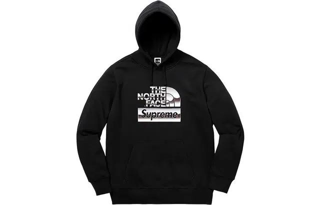 Supreme x THE NORTH FACE SS18