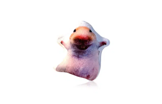 CANHUI