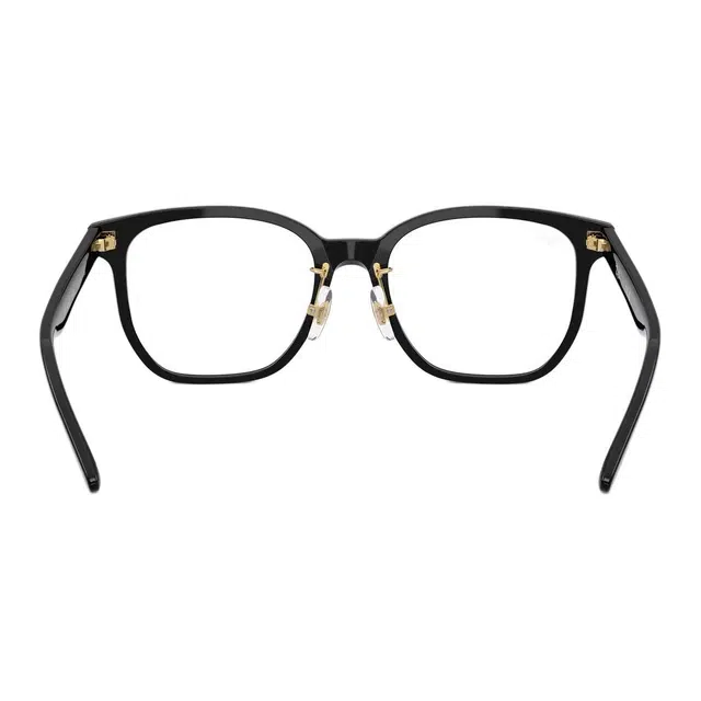 RayBan Logo