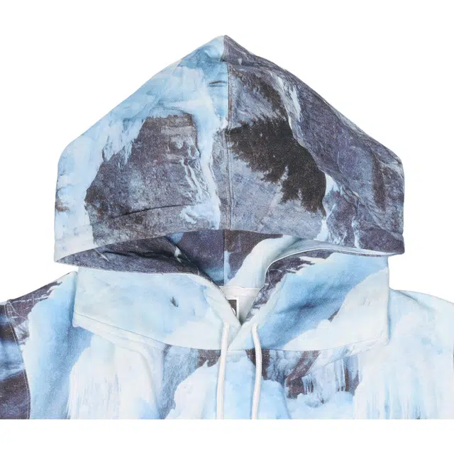Supreme SS21 Week 5 x The North Face Ice Climb Hooded Sweatshirt