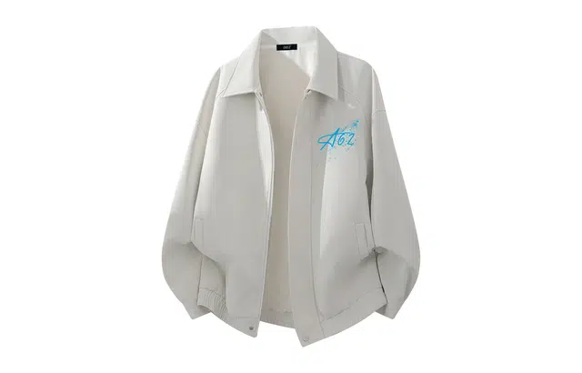a02 LOGOins
