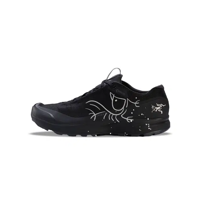 Arcteryx AERIOS FL GTX