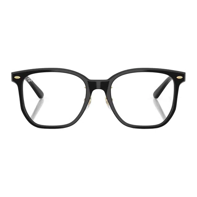 RayBan Logo
