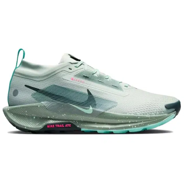 Nike Pegasus Trail 5 React