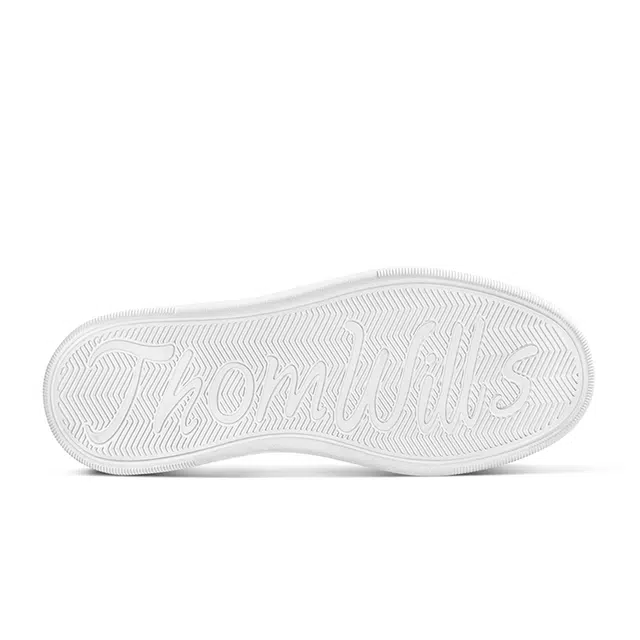 THOM WILLS Trainer