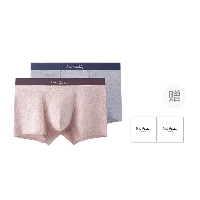 PIERRE CARDIN 10A