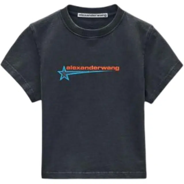 alexander wang FW25 T