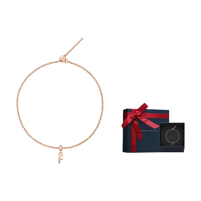 Daniel Wellington DW CHARMS DIY