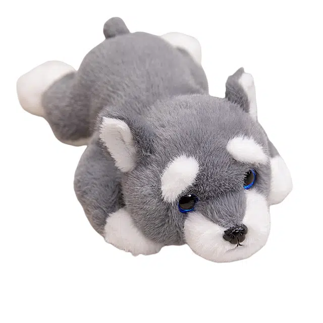 lionf 30cm40cm60cm