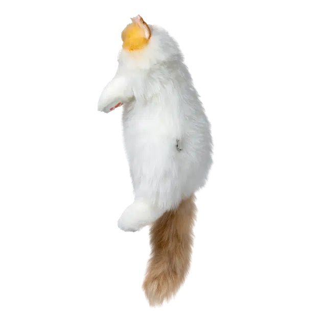 50cm