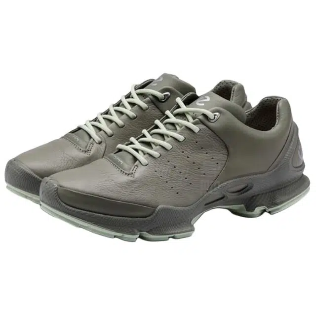 ecco Biom C