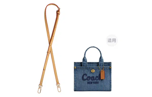 COACH Cargo 20