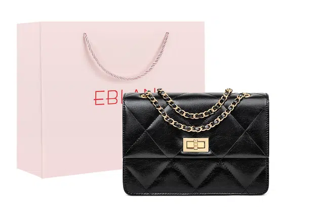 EBLAN ins