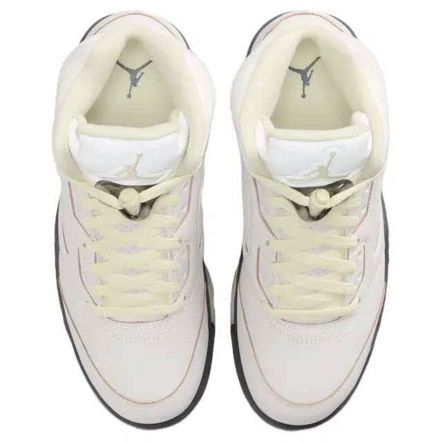 Jordan Air Jordan 5