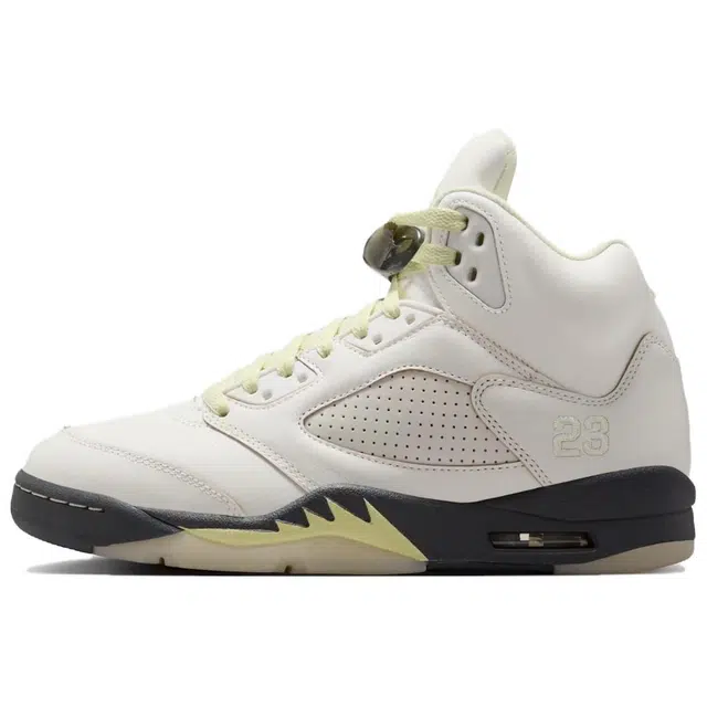 Jordan Air Jordan 5