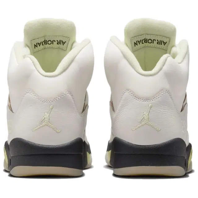 Jordan Air Jordan 5