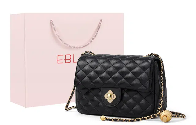 EBLAN ins