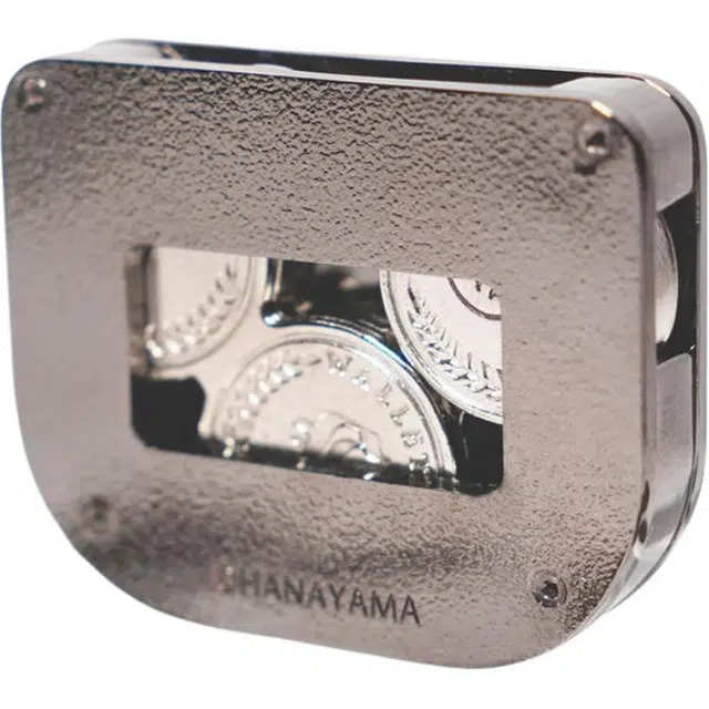 HANAYAMA Puzzle