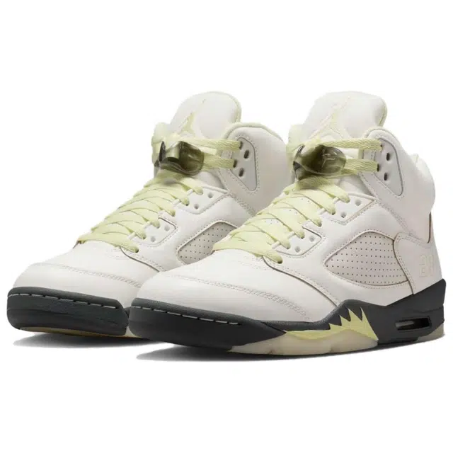 Jordan Air Jordan 5