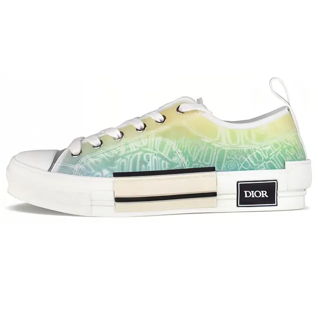 DIOR B23