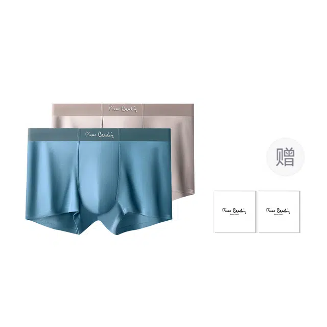 PIERRE CARDIN 10A