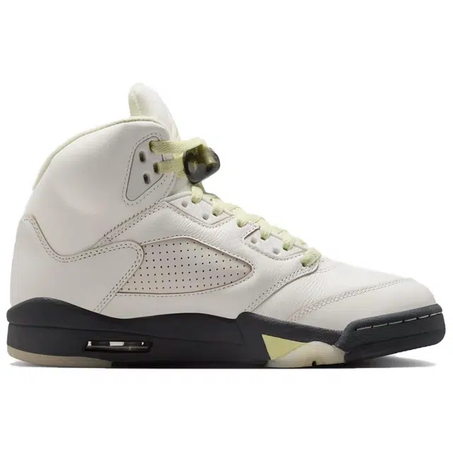 Jordan Air Jordan 5