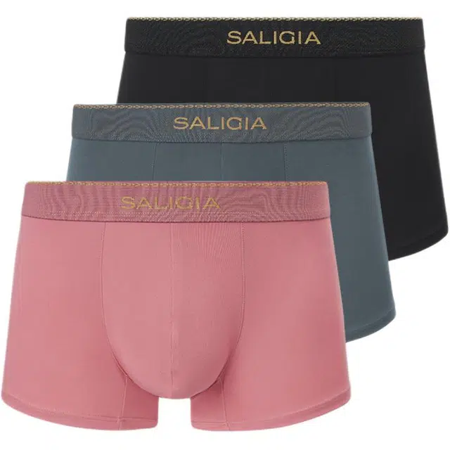 SALIGIA 3