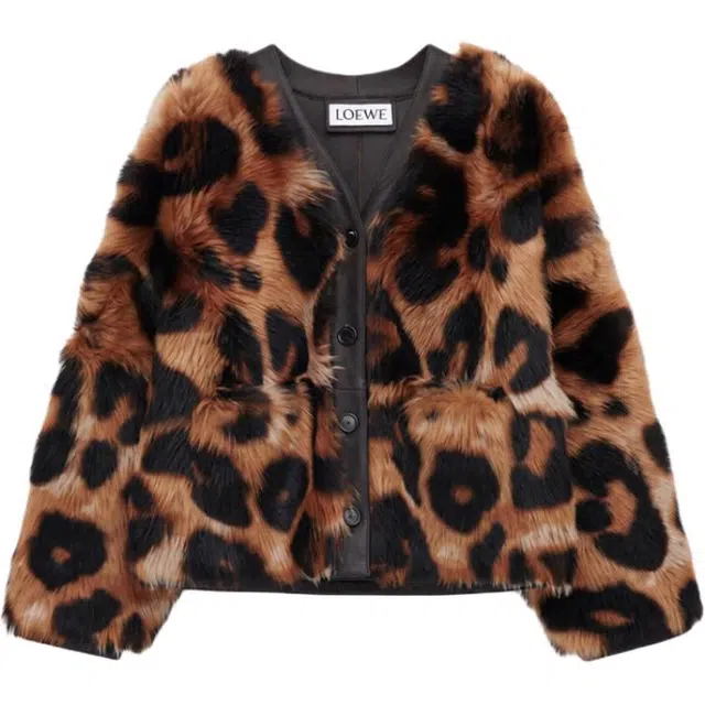 LOEWE FW25 V