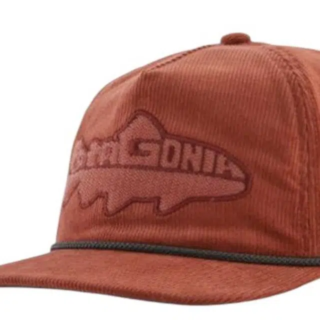 patagonia