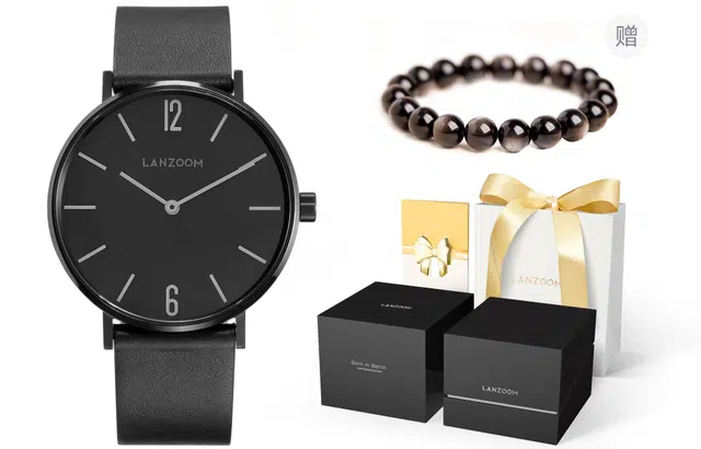LANZOOMMen's watches LZ Baden01