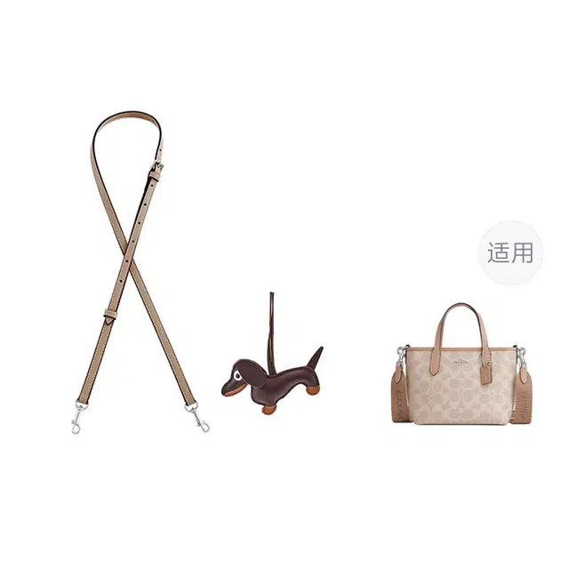 coach city15 mini