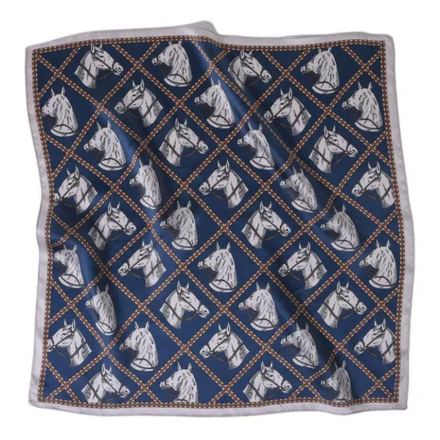 杭丝路 印花商务轻奢高级柔软舒适 丝巾 男款