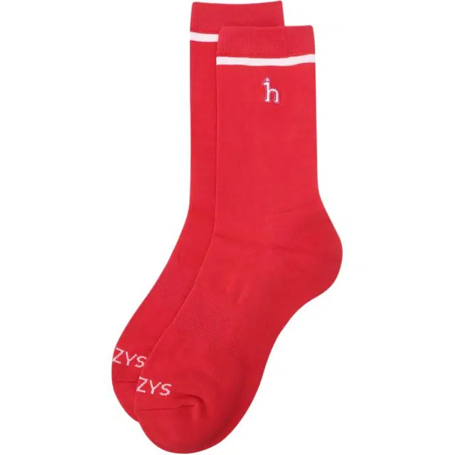 HAZZYS 1
