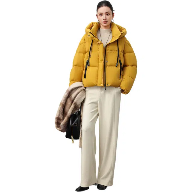 雅鹿 冬季韩版保暖抗寒防风显瘦连帽时尚爆款短款外套羽绒服 女款